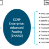 CCNP Enterprise 8.0: (2) Advanced Routing - Image 4